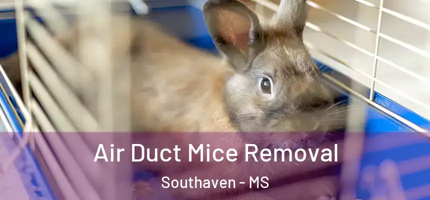  Air Duct Mice Removal Southaven - MS