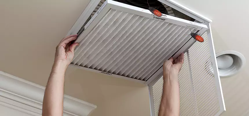 Preventive Cockroach-Proofing for Ducts in Southaven