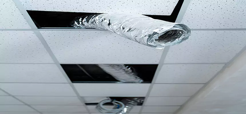 Our Air Duct Pet Hair Removal Services in Southaven, MS