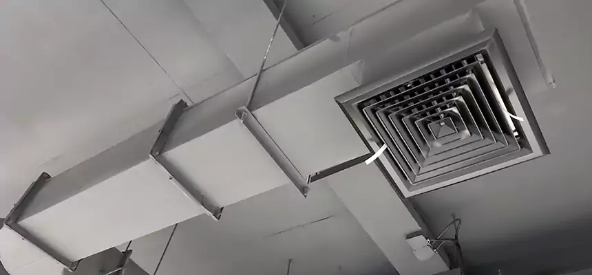 Our Pest Removal From Ducts Services in Southaven, MS