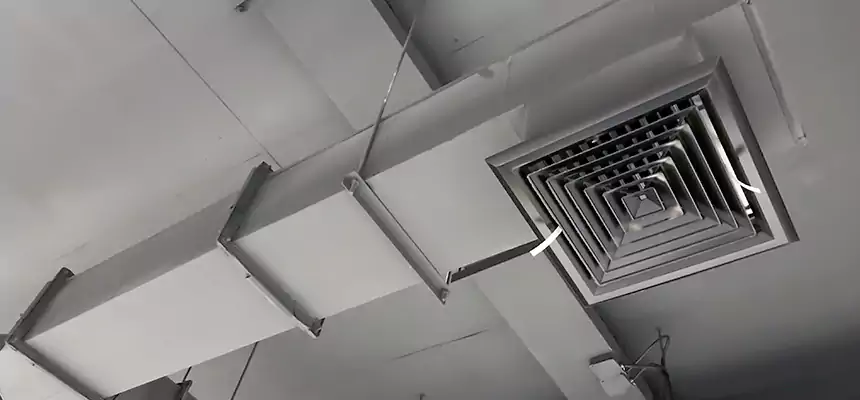 Our Rodent Droppings In Vents Services in Southaven, MS