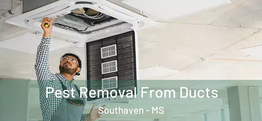  Pest Removal From Ducts Southaven - MS