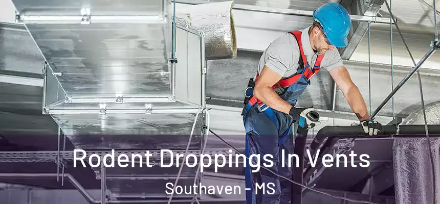  Rodent Droppings In Vents Southaven - MS