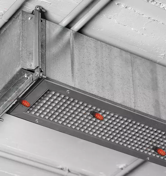 About Air Duct Cockroach Removal in Southaven, MS