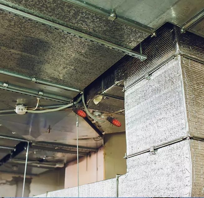 Why Homeowners & Businesses Trust Us in Southaven, MS?