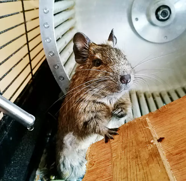 Why Homeowners & Businesses Trust Us Southaven, MS?